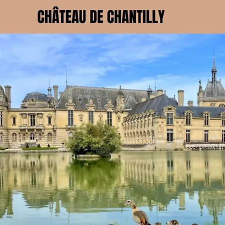 Cocon Forestier - Cinema- Netflix Free - Proche Aeroport Beauvais, Chantilly, Foret De Hez-froidmont, Parking Public Gratuit, Wifi & Netflix *